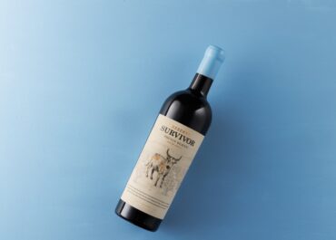 Survivor Reserve Chenin Blanc Wins Decanter Gold For Second Consecutive Year