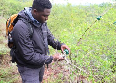 South African Tree Symposium 2026 to Celebrate the Vital Role of Trees in Building a Sustainable Future